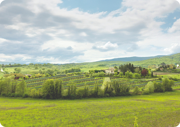 ETA_landscape_integrati_LoSprocco_View1